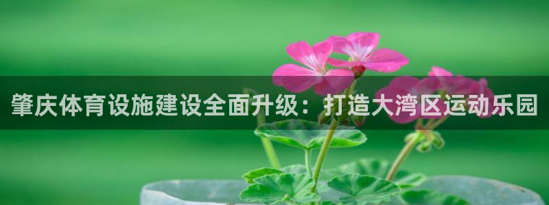意昂体育4平台APP：肇庆体育设施建设全面升级：打造