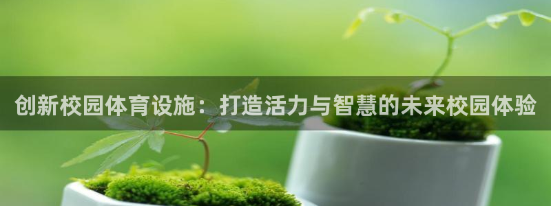 意昂体育4招商电话号码是多少号：创新校园体育设施：打造活力与
