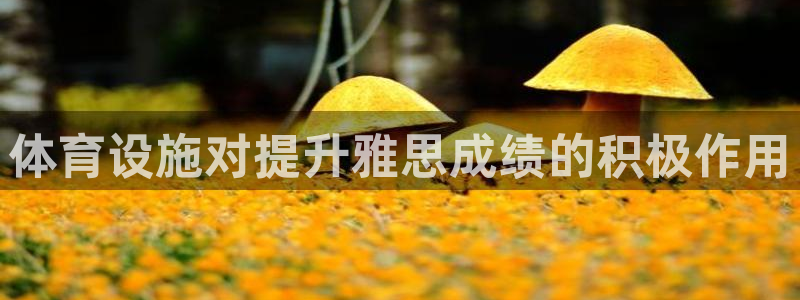 意昂体育4招商电话号码查询：体育设施对提升雅思成绩的