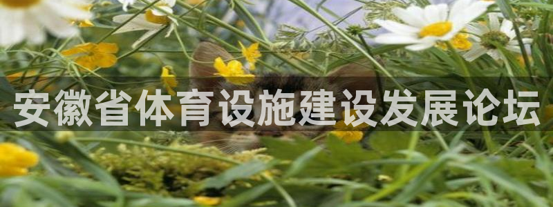 意昂体育4平台是正规平台吗知乎：安徽省体育设施建设发