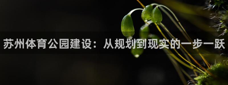 意昂4集团E.ON：苏州体育公园建设：从规划到现实的