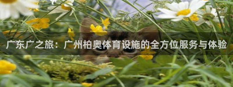 意昂体育4平台假的吗是真的吗吗：广东广之旅：广州柏奥