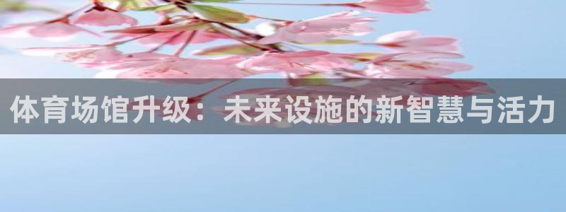 意昂体育4：体育场馆升级：未来设施的新智慧与活力