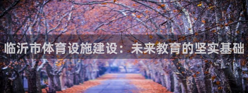意昂体育4平台注册要钱吗是真的吗：临沂市体育设施建设