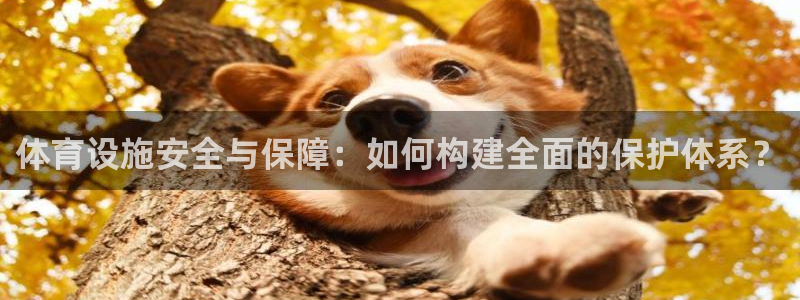 意昂体育4平台注册要钱吗：体育设施安全与保障：如何构