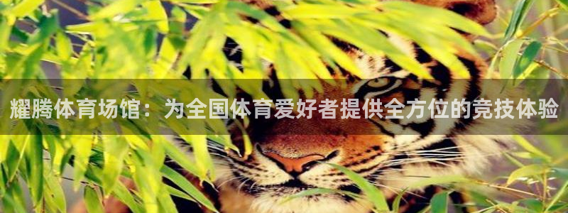 意昂4神州：耀腾体育场馆：为全国体育爱好者提供全方位