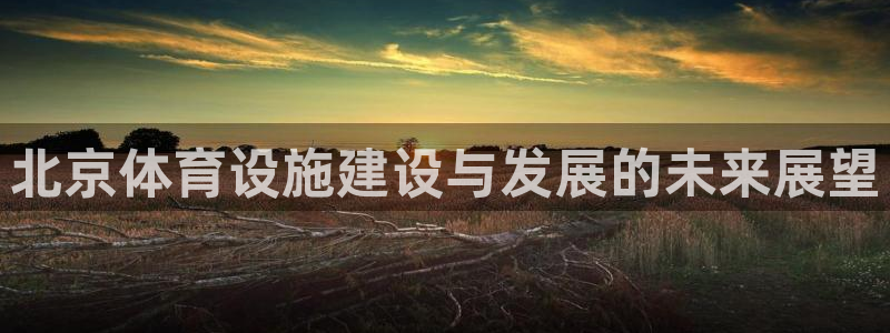 意昂体育4招商：北京体育设施建设与发展的未来展望