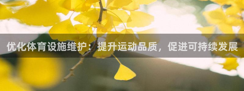 意昂体育4招商电话地址查询：优化体育设施维护：提升运