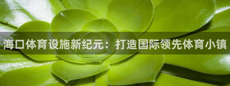 海南意昂体育4发展怎么样：海口体育设施新纪元：打造国