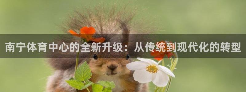 意昂4集团官网首页网址：南宁体育中心的全新升级：从传