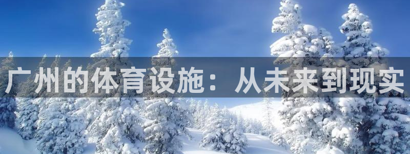 意昂平台体育：广州的体育设施：从未来到现实