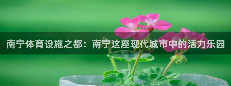 意昂体育4娱乐：南宁体育设施之都：南宁这座现代城市中