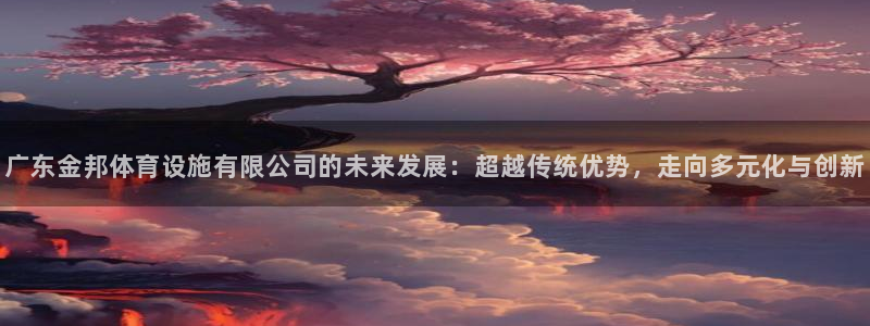 海南意昂体育4：广东金邦体育设施有限公司的未来发展：