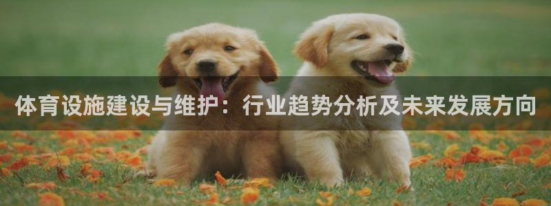 意昂体育4联系电话：体育设施建设与维护：行业趋势分析