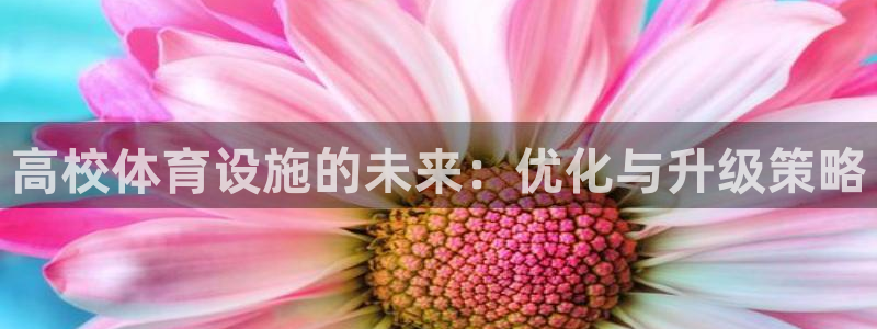 意昂体育4平台注册流程图：高校体育设施的未来：优化与