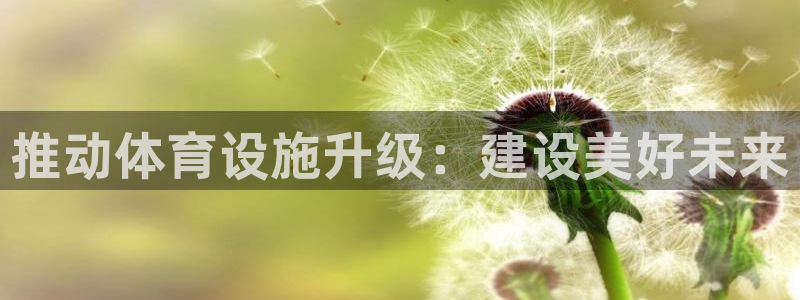 意昂体育4招商电话是多少：推动体育设施升级：建设美好