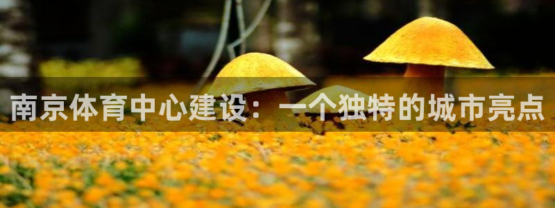 意昂体育4招商电话号码是多少号：南京体育中心建设：一