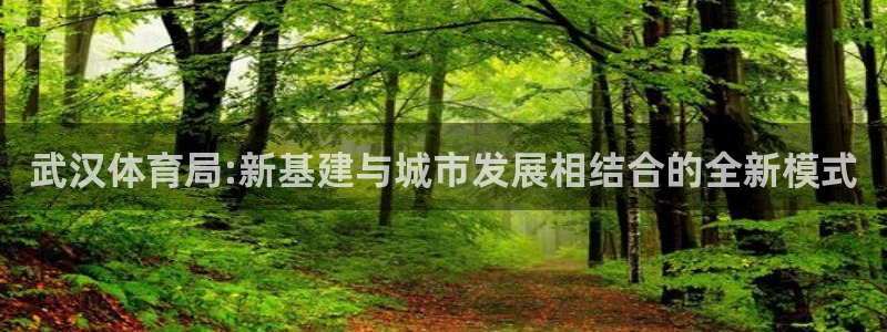 意昂4娱乐网站：武汉体育局:新基建与城市发展相结合的