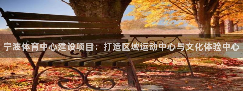 意昂4集团E.ON：宁波体育中心建设项目：打造区域运