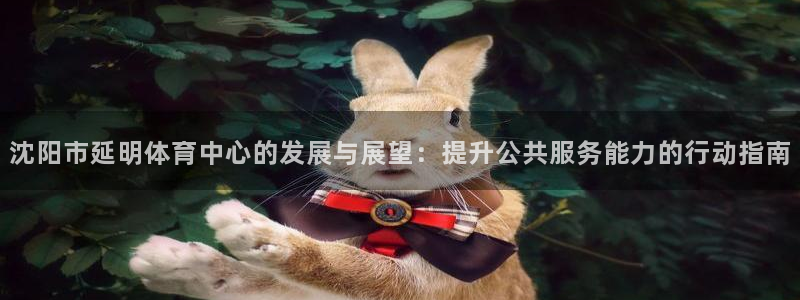 意昂体育4招商电话号码查询：沈阳市延明体育中心的发展