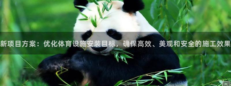意昂体育4平台是正规平台吗安全吗：新项目方案：优化体