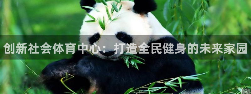 意昂体育4平台是正规平台吗安全吗：创新社会体育中心：