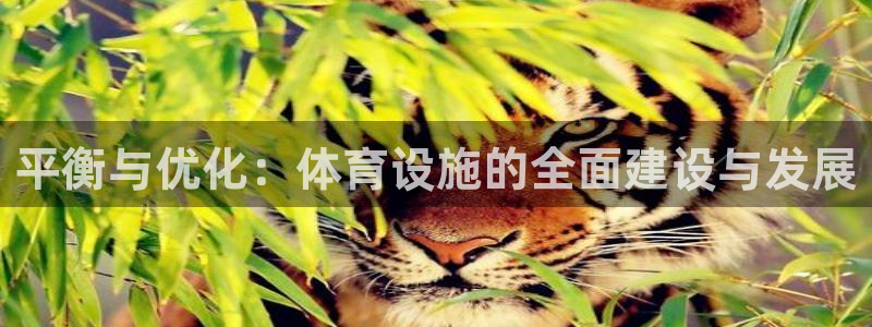 意昂体育4招商电话号码查询：平衡与优化：体育设施的全面建设与