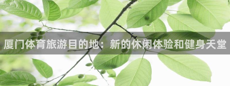 意昂体育4开户：厦门体育旅游目的地：新的休闲体验和健