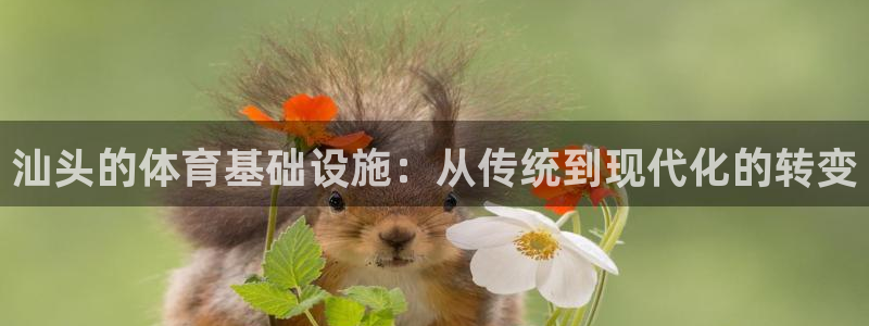 意昂4娱乐40996：汕头的体育基础设施：从传统到现
