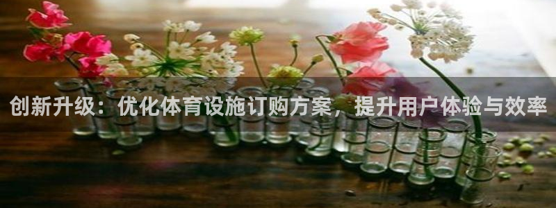 意昂体育4平台注册要钱吗安全吗：创新升级：优化体育设
