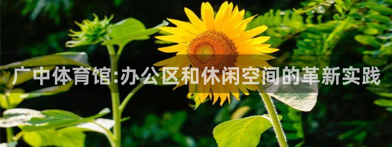 意昂4集团：广中体育馆:办公区和休闲空间的革新实践