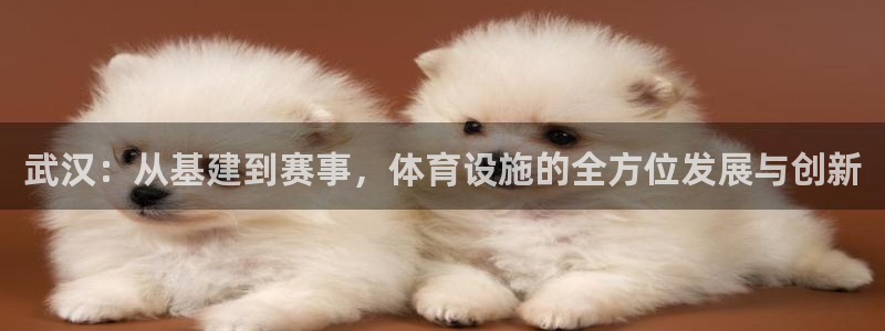 意昂体育4平台注册要钱吗安全吗：武汉：从基建到赛事，体育设施