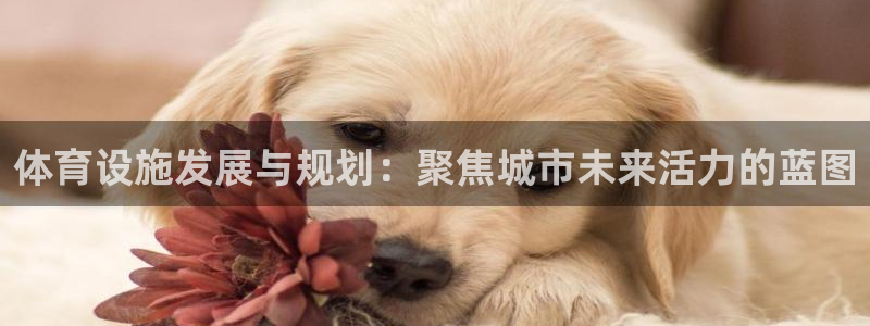意昂4集团官网首页：体育设施发展与规划：聚焦城市未来