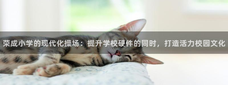 意昂体育4是干嘛的公司：荣成小学的现代化操场：提升学