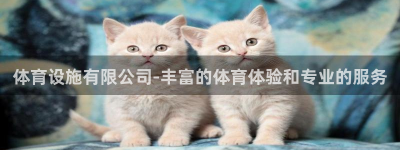 意昂集团官网：体育设施有限公司-丰富的体育体验和专业