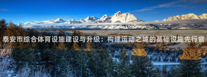 意昂体育4招商电话：泰安市综合体育设施建设与升级：构