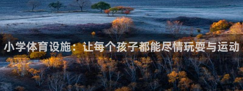 意昂体育4招商电话号码是多少啊：小学体育设施：让每个