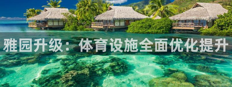意昂4娱乐平台：雅园升级：体育设施全面优化提升