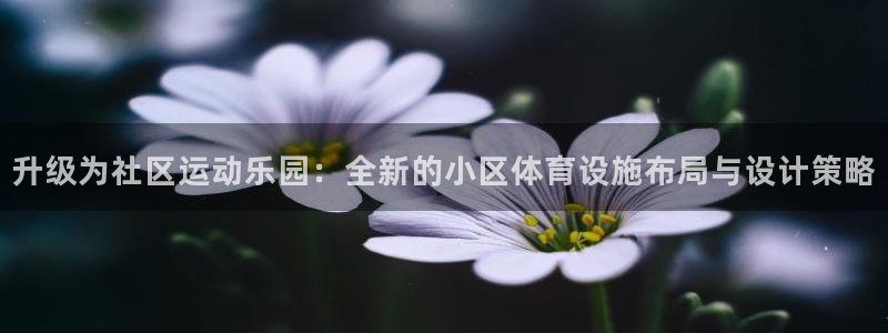 海南意昂体育4：升级为社区运动乐园：全新的小区体育设