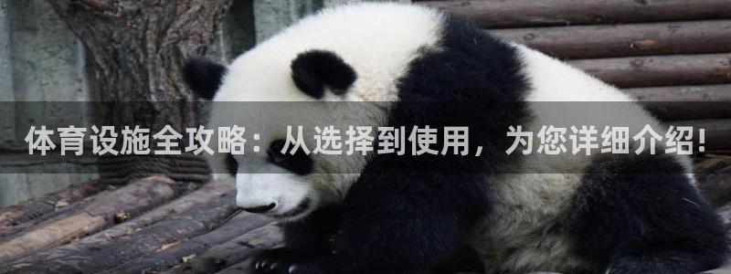 意昂体育4：体育设施全攻略：从选择到使用，为您详细介