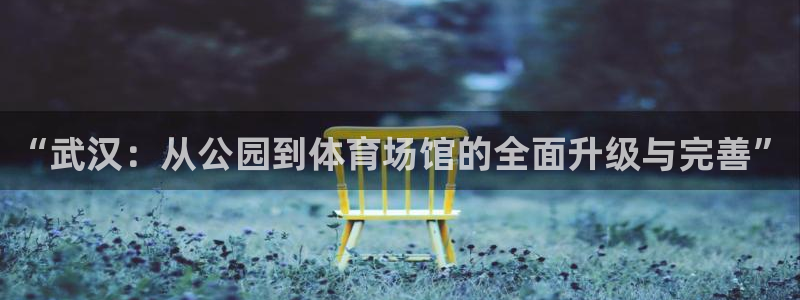 意昂4娱乐：“武汉：从公园到体育场馆的全面升级与完善
