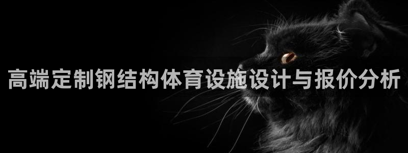 意昂体育4平台假的吗是真的吗：高端定制钢结构体育设施