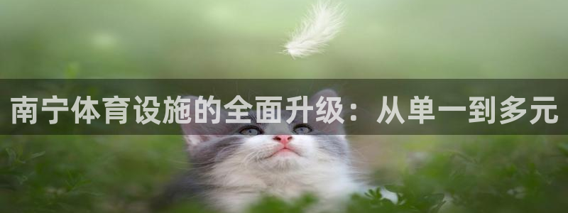 意昂体育4平台注册流程视频：南宁体育设施的全面升级：从单一到