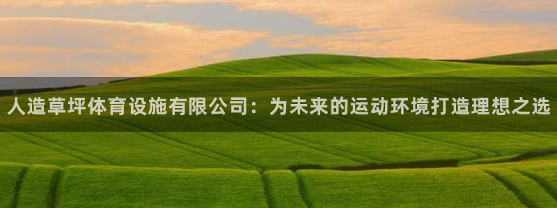 意昂4新能源：人造草坪体育设施有限公司：为未来的运动环境打造