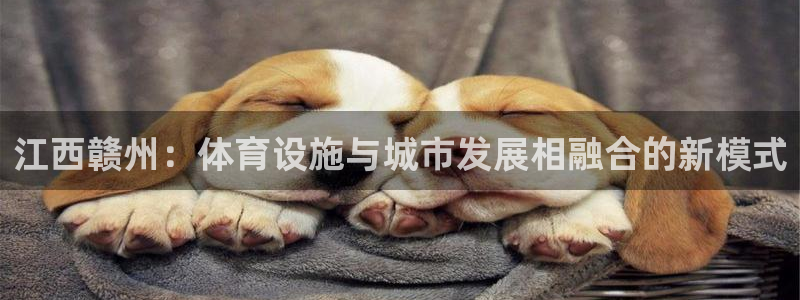 意昂体育4平台注册：江西赣州：体育设施与城市发展相融合的新模