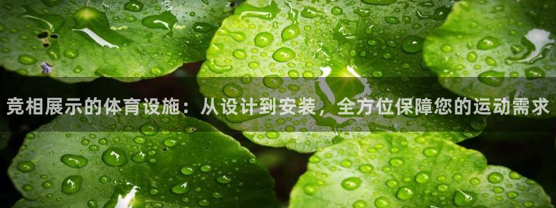 意昂体育4平台是正规平台吗安全吗：竞相展示的体育设施：从设计