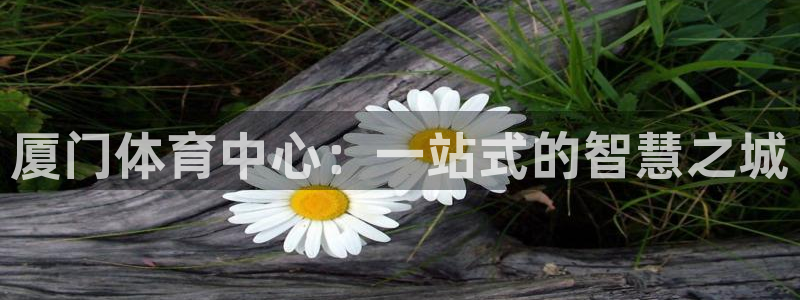 意昂4集团官网首页：厦门体育中心：一站式的智慧之城