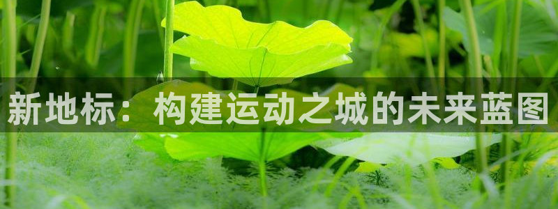 意昂体育4招商电话：新地标：构建运动之城的未来蓝图