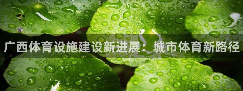 意昂体育4招商：广西体育设施建设新进展：城市体育新路