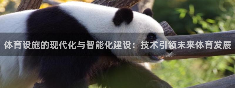 意昂体育4平台注册要钱吗安全吗：体育设施的现代化与智